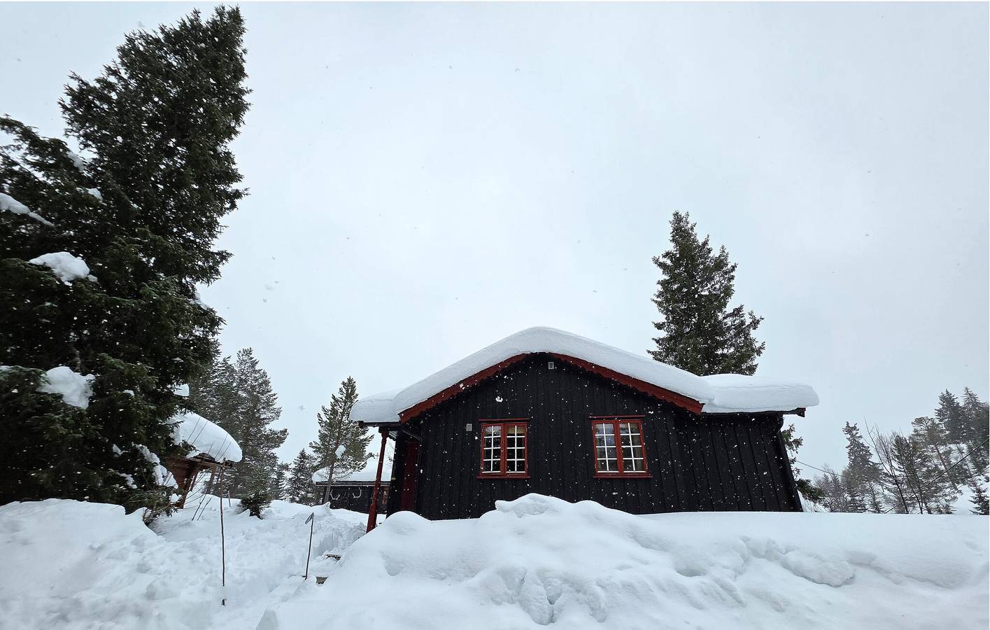 Ferienhaus für 7 Personen mit Terrasse in Seljord