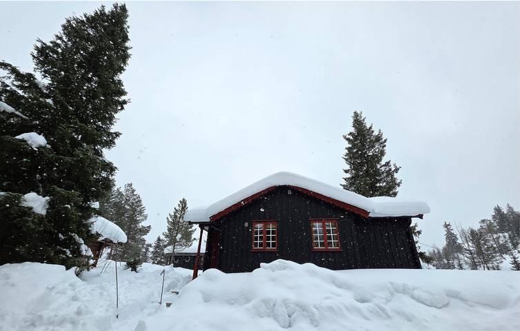Ferienhaus für 7 Personen mit Terrasse in Seljord