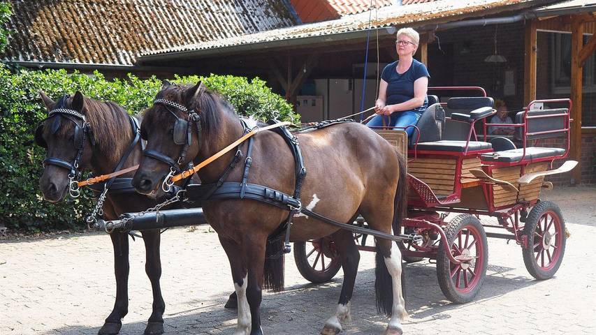 Ferienwohnung für 6 Personen, mit Garten und Terrasse, mit Haustier in Schneverdingen - 2