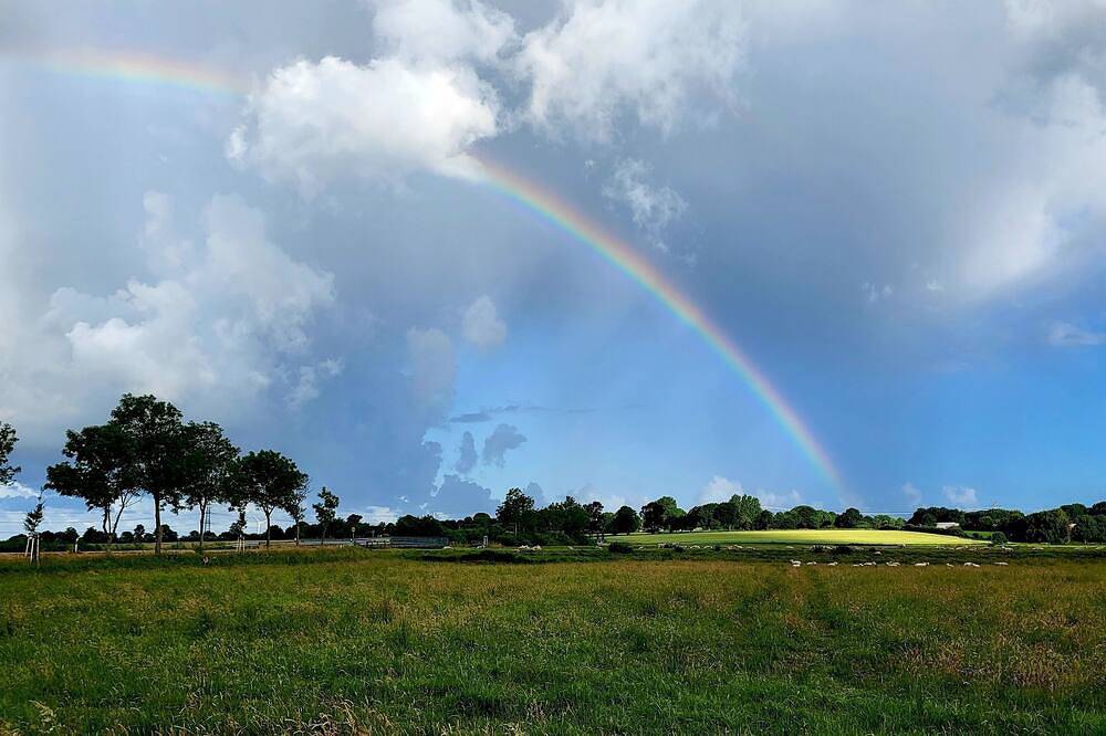 Ganze Wohnung, Moin moin hier bei uns im ländlichen Idyll in Bohmstedt, Nordsee - Schleswig-Holstein