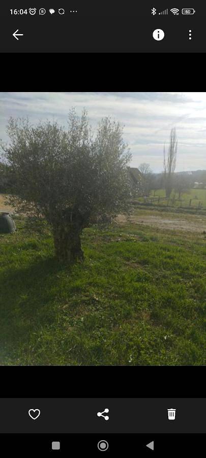 Gîte pour 4 personnes, avec jardin et vue, animaux acceptés à Fajoles - 3