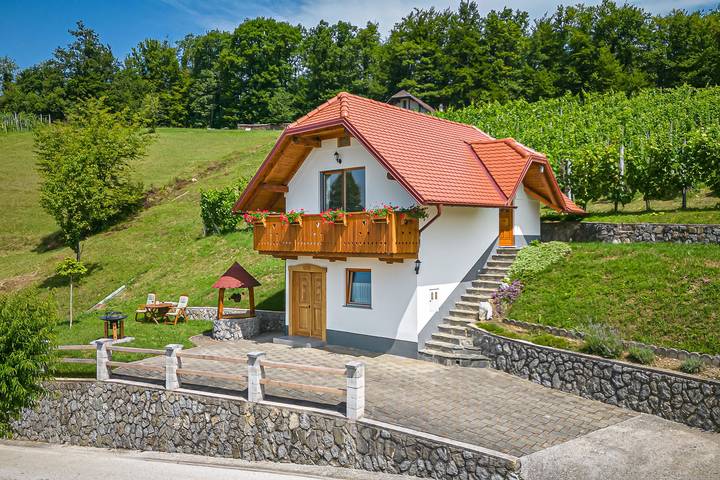 Agriturismo per 3 persone, con sauna e terrazza, con animali domestici in Slovenia