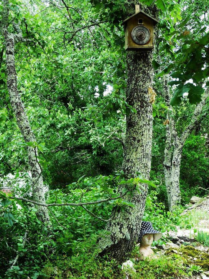 Location de vacances pour 2 personnes, avec terrasse ainsi que vue et jardin à Saint-André-de-Cruzières - 3