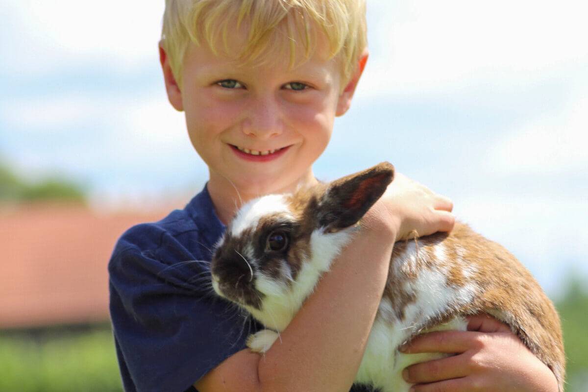 Springerhof - Amelie in Schechen, Landkreis Rosenheim