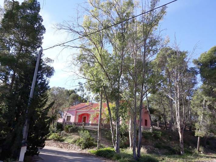 Location de vacances pour 10 personnes, avec Terrasse et Jardin ainsi que Piscine et Vue à Archena