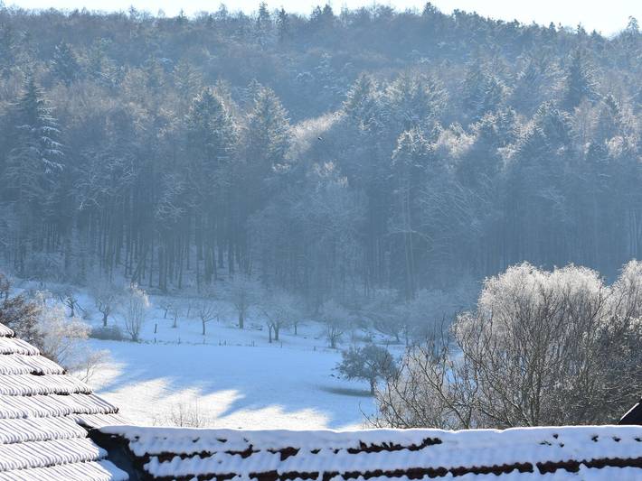 Ferienhaus für 4 Personen, mit Garten und Ausblick in Modautal