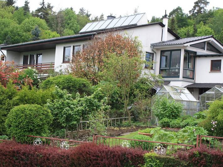 Im Fox Grove || Weilmünster in Weilmünster, Landkreis Limburg-Weilburg