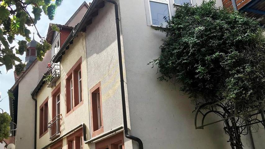 Ferienwohnung für 4 Personen, mit Balkon in Annweiler - 4