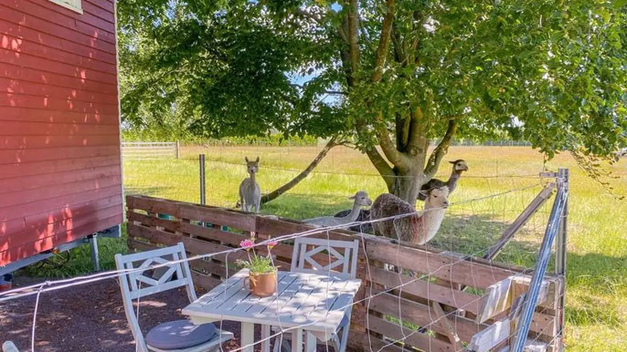 Ferienhaus für 4 Personen (21 m²) in Rubkow in Rubkow, Vorpommern Greifswald