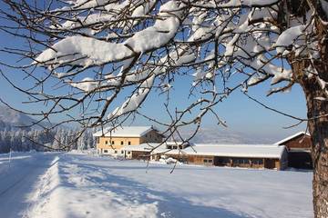 Agriturismo für 2 Personen in Krumbach (Vorarlberg), Allgäuer Alpen (Österreich), Bild 4