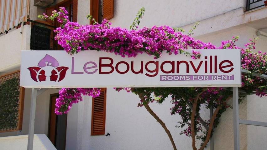 Maison d’hôte pour 2 personnes, animaux acceptés à Vieste - 3