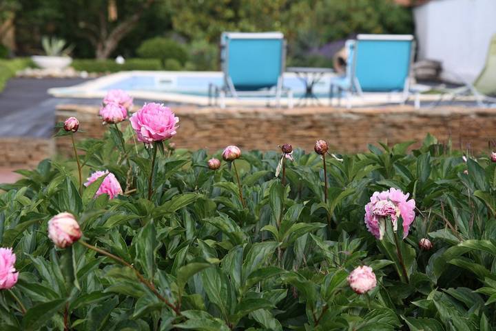 Gîte pour 2 personnes, avec piscine et jardin dans Rhône - 3