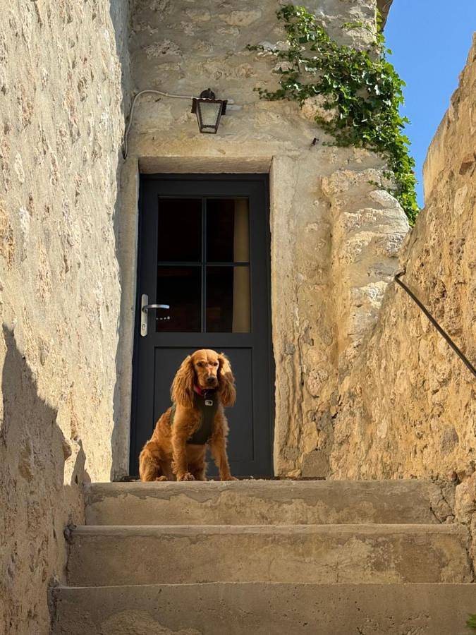 Gîte pour 2 personnes, avec piscine ainsi que terrasse et vue, animaux acceptés à Salles-sous-Bois - 2