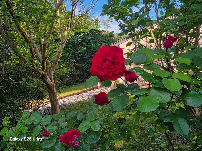 Chambre d’hôte pour 2 personnes, avec vue ainsi que piscine et jardin à Toulouse - 2