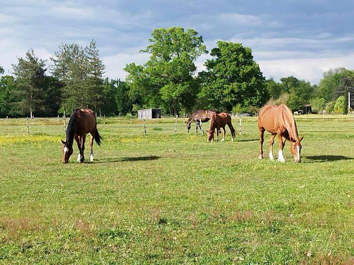 Location de vacances pour 6 personnes, avec jardin et terrasse à Coutras - 4