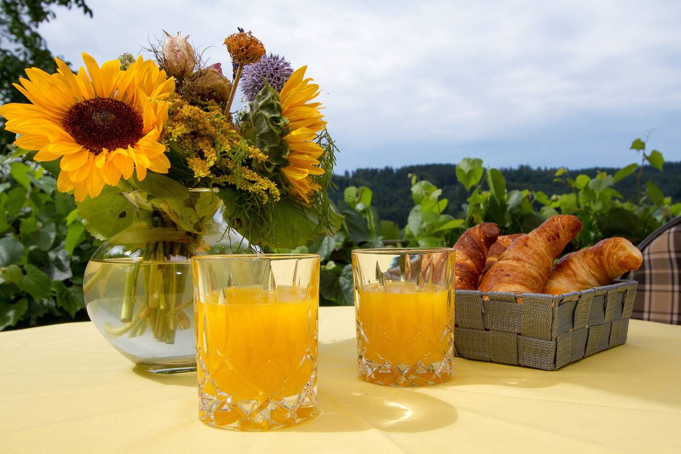 Ganze Wohnung, Ferienwohnung 'Ferienparadies Bodensee Fewo1' mit Bergblick, Gemeinschaftspool und Wlan in Billafingen, Owingen