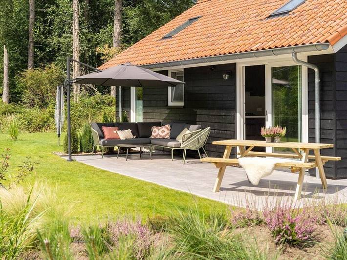 Ferienhaus in Spier mit Schwimmbecken in Nationalpark Dwingelderveld