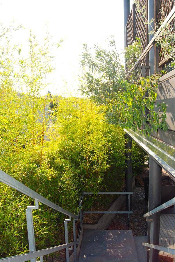 Maison d’hôte pour 4 personnes, avec jardin et vue à Desenzano del Garda - 4