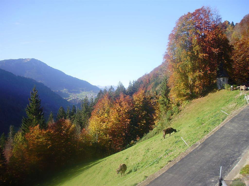 Geheel vakantieappartement, Vakantiewoning 2-4 personen in Sonntag, Bezirk Bludenz