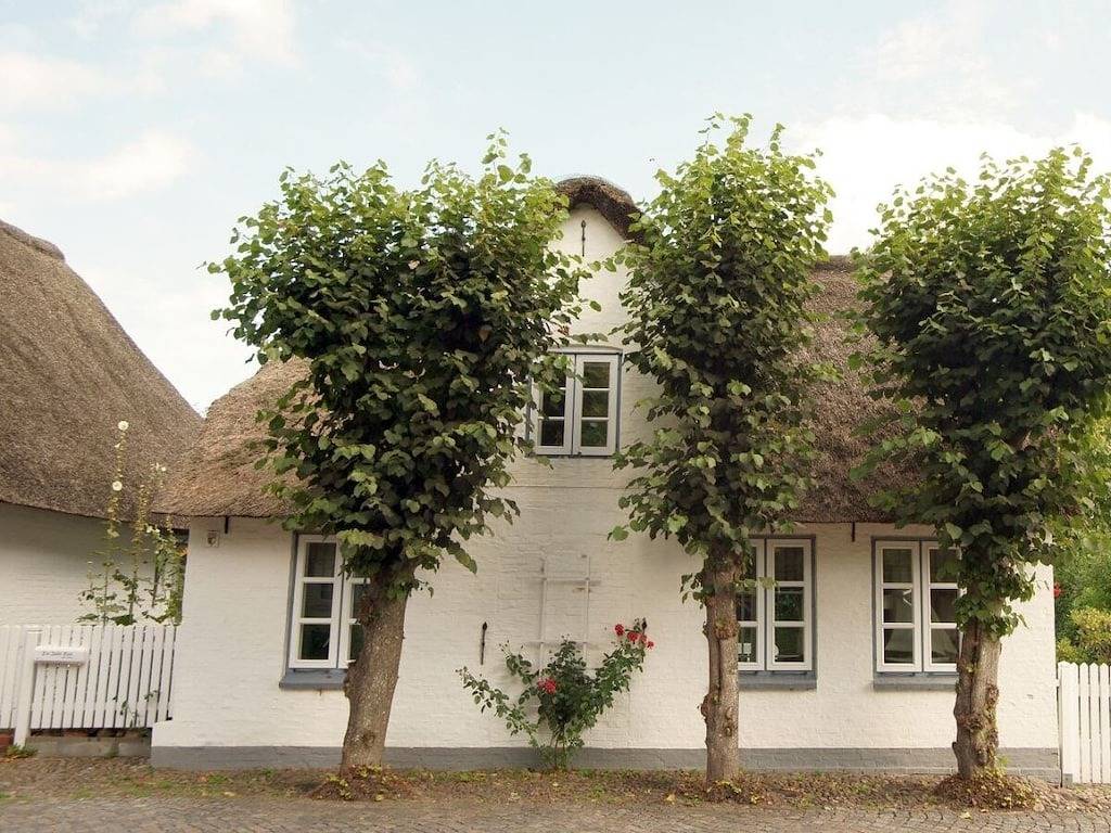Ferienhaus in Wyk auf Föhr mit Terrasse in Nordfriesische Inseln (Schleswig-Holstein) (Schleswig-Holstein), Wyk auf Föhr