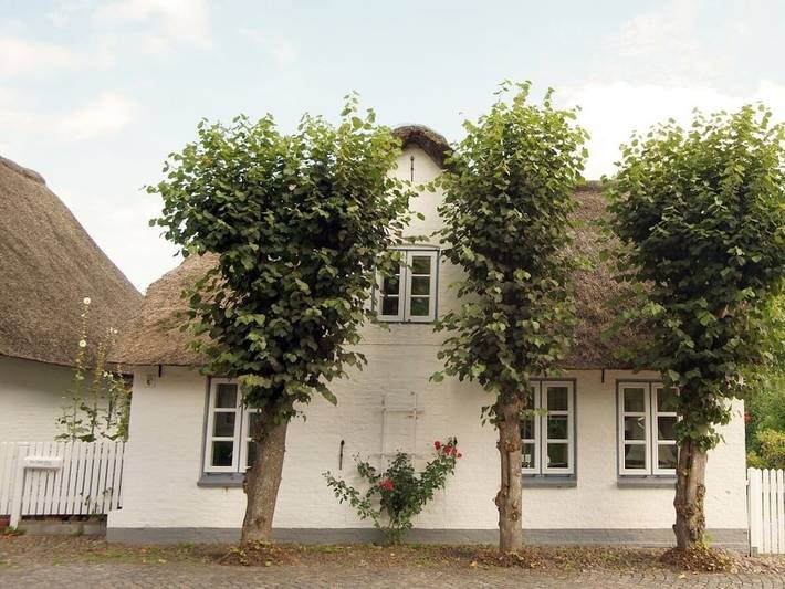 Ferienhaus für 3 Personen, mit Terrasse und Garten - 1