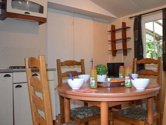 Flower Camping Les Mijeannes - Mobilhome 4 personnes - Mobil-home Confort 29m² 2 chambres + Tv 4 pers in Rieux-de-Pelleport, Ariège