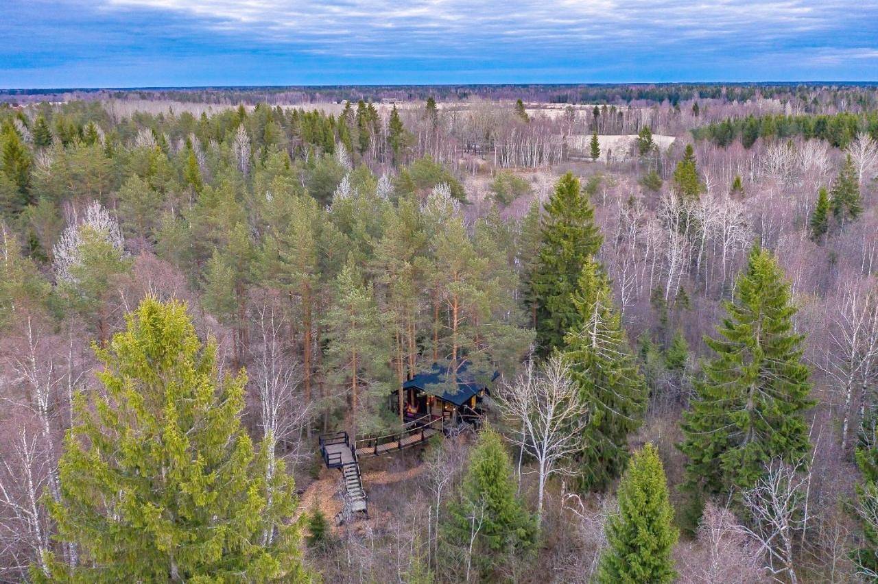 Sambliku Treehouse in Harjumaa
