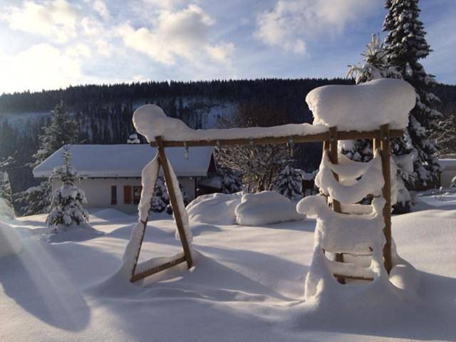 Gîte pour 4 personnes, avec jardin et vue à Feldberg - 3