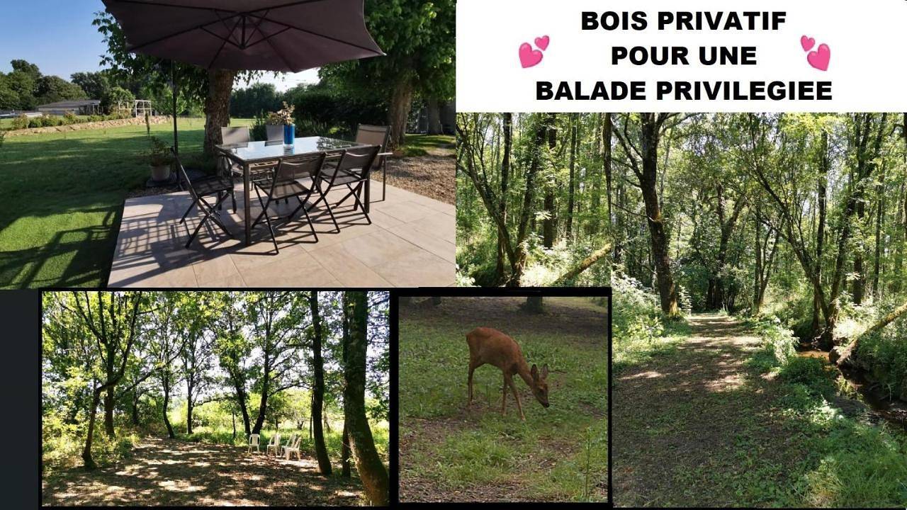 Maison avec grand jardin & bois privé en Dordogne in Minzac, Périgord Pourpre