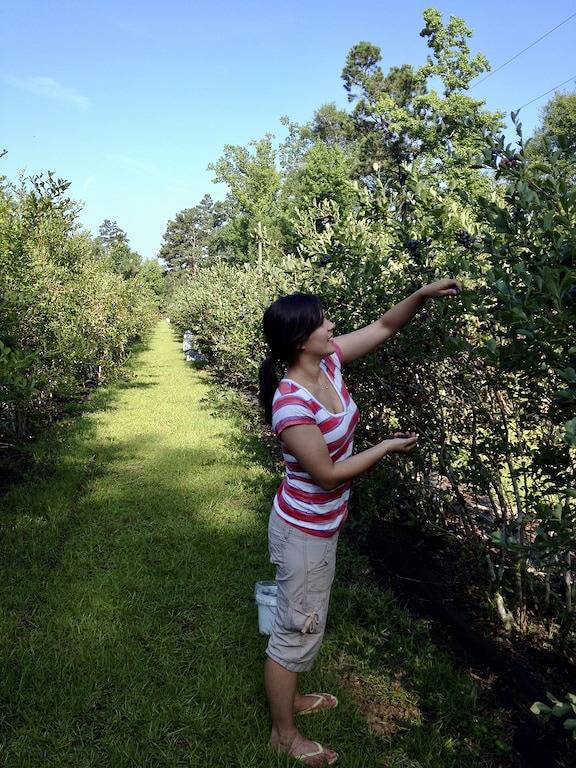 Log Cabin for 8 Guests in Louisiana, USA