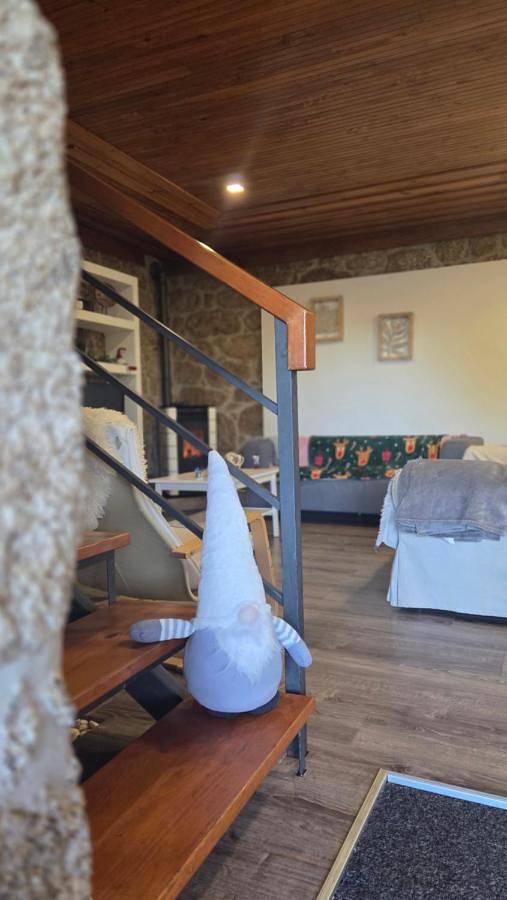 Casa de férias para 9 pessoas, com jardim e vista e ainda vista para o lago and piscina, com animais de estimação em Covilhã