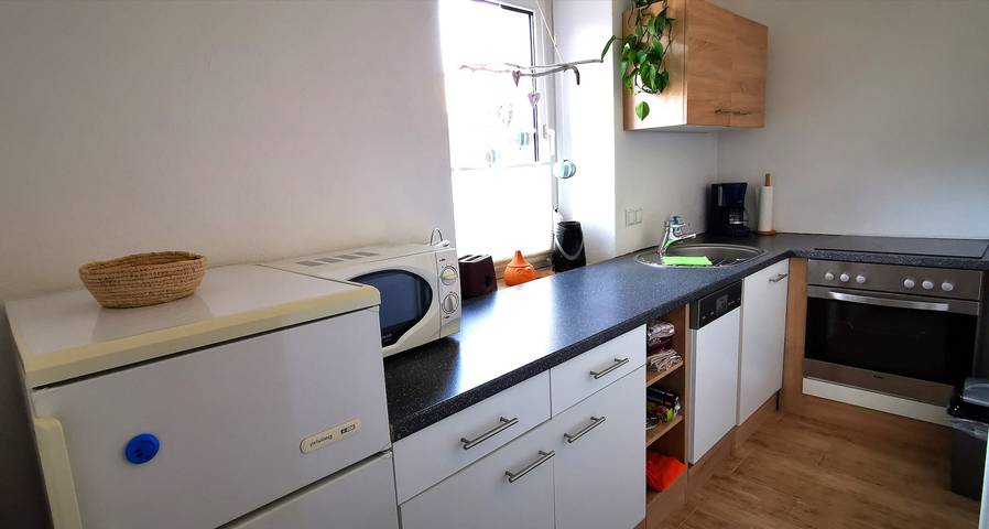 Ferienwohnung für 3 Personen, mit Garten, mit Haustier im Pfälzer Wald - 3