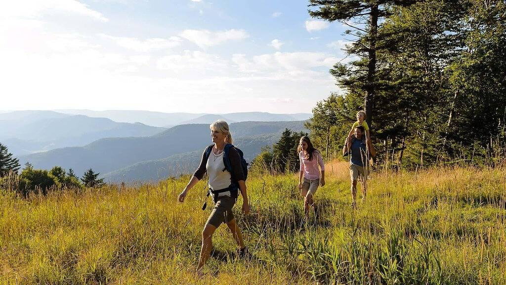 Ganze Wohnung, Keine Köder- Und Schalterpreise | Beinhaltet Parken / Reinigung | 1Br / 1Ba | Schlaf 4 | in Snowshoe, Greenbrier River