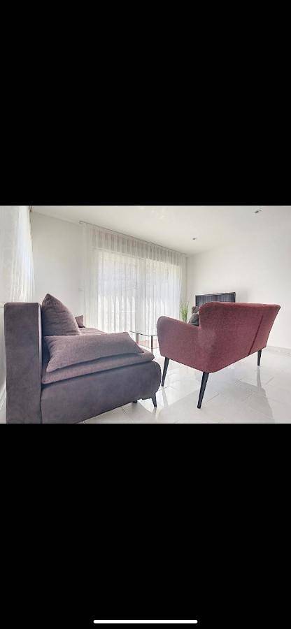 Location de vacances pour 10 personnes, avec terrasse et jardin dans La Petite Camargue Alsacienne - 4