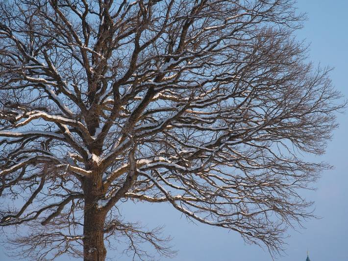 Bauernhaus für 4 Personen, mit Pool und Garten sowie Balkon, kinderfreundlich in Alpenland Tegernsee Schliersee - 4