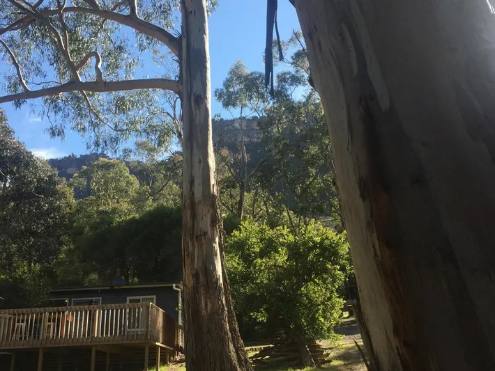 Lodge for 2 people, with garden and view, with pets - 1