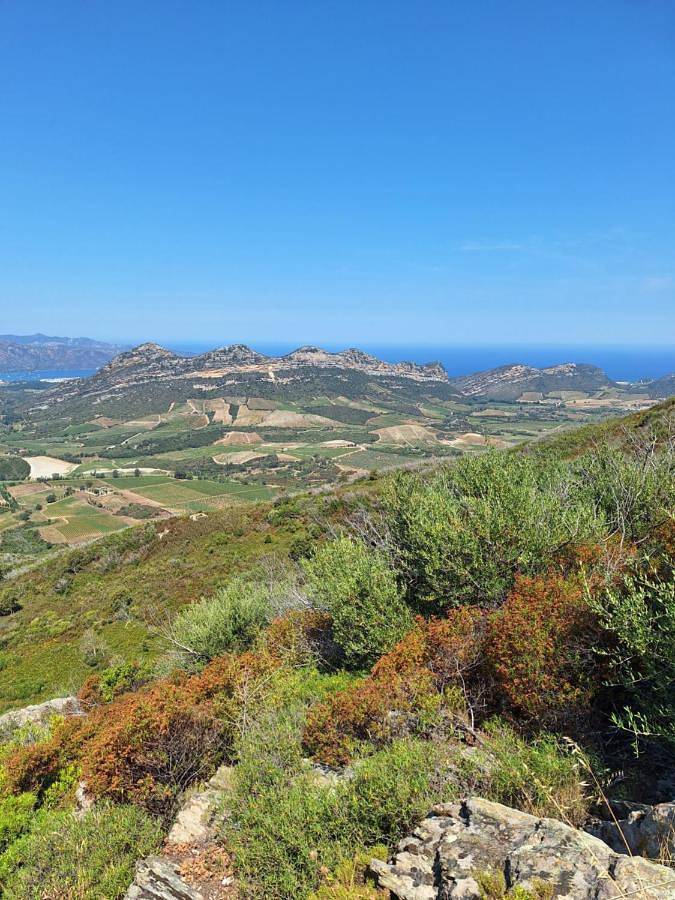 Appartement de vacances pour 4 personnes, avec terrasse et piscine, animaux acceptés