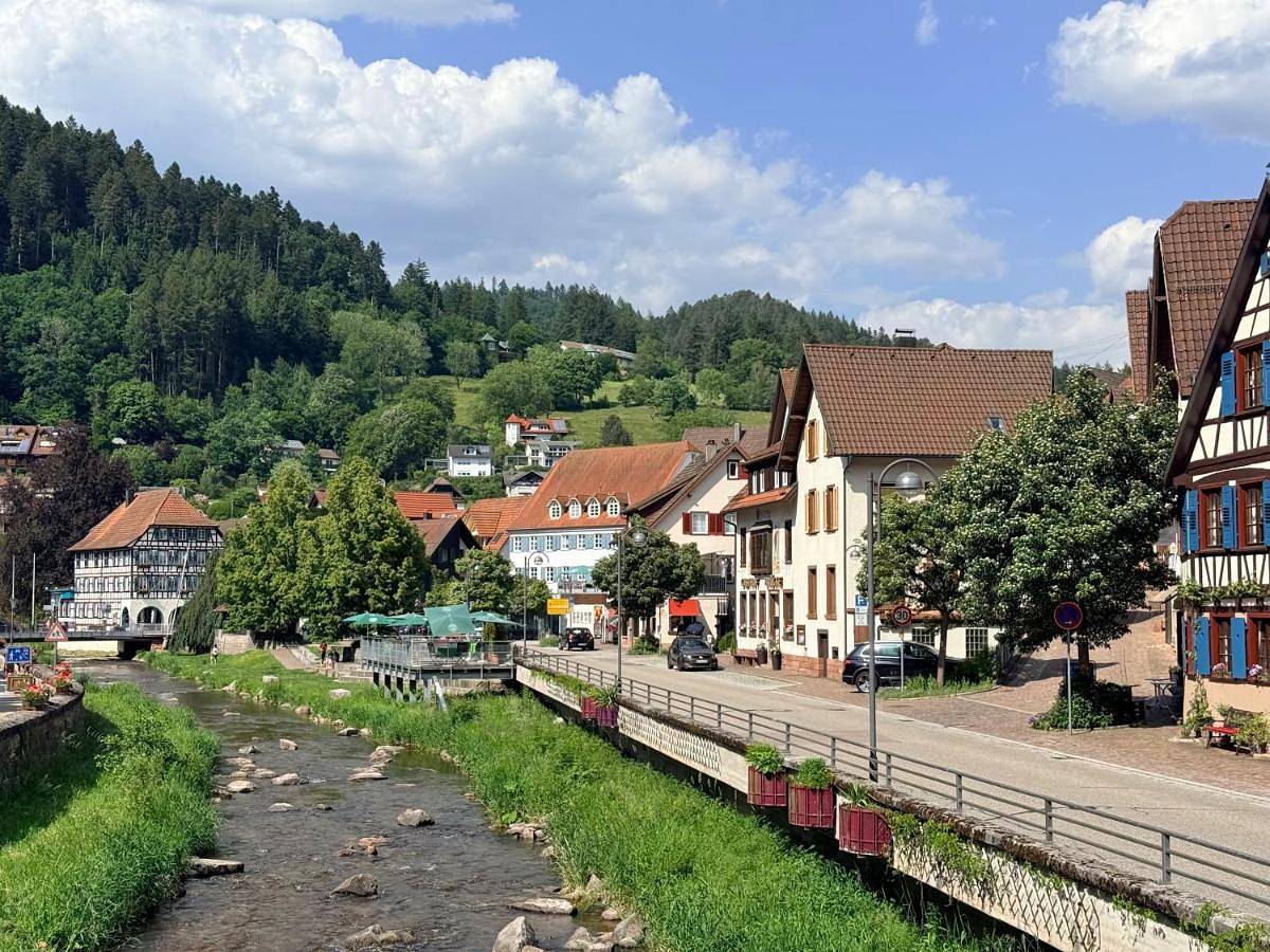 Single Room in Schiltach, Vallée du Kinzig