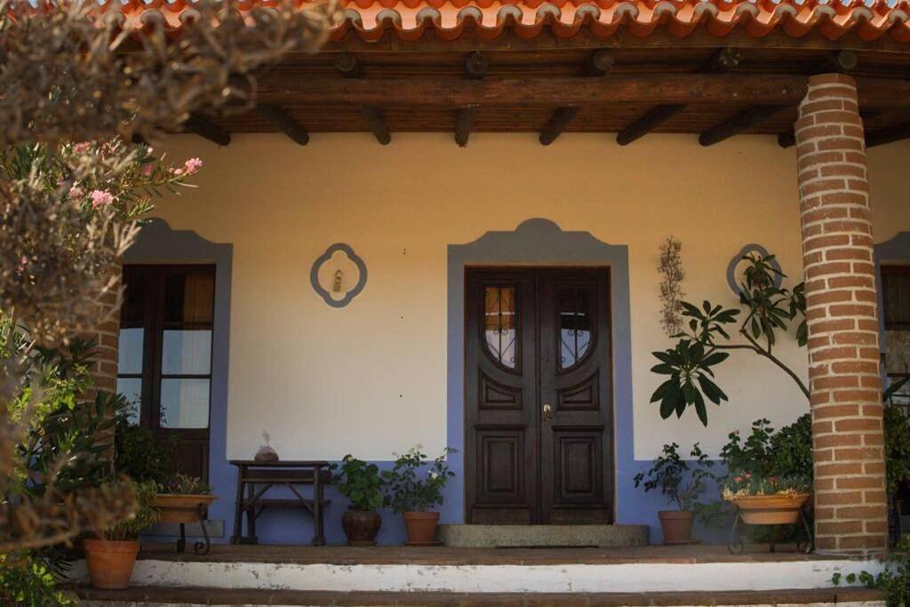 Aproveite o sabor do Alentejo in Serpa, Distrito de Beja