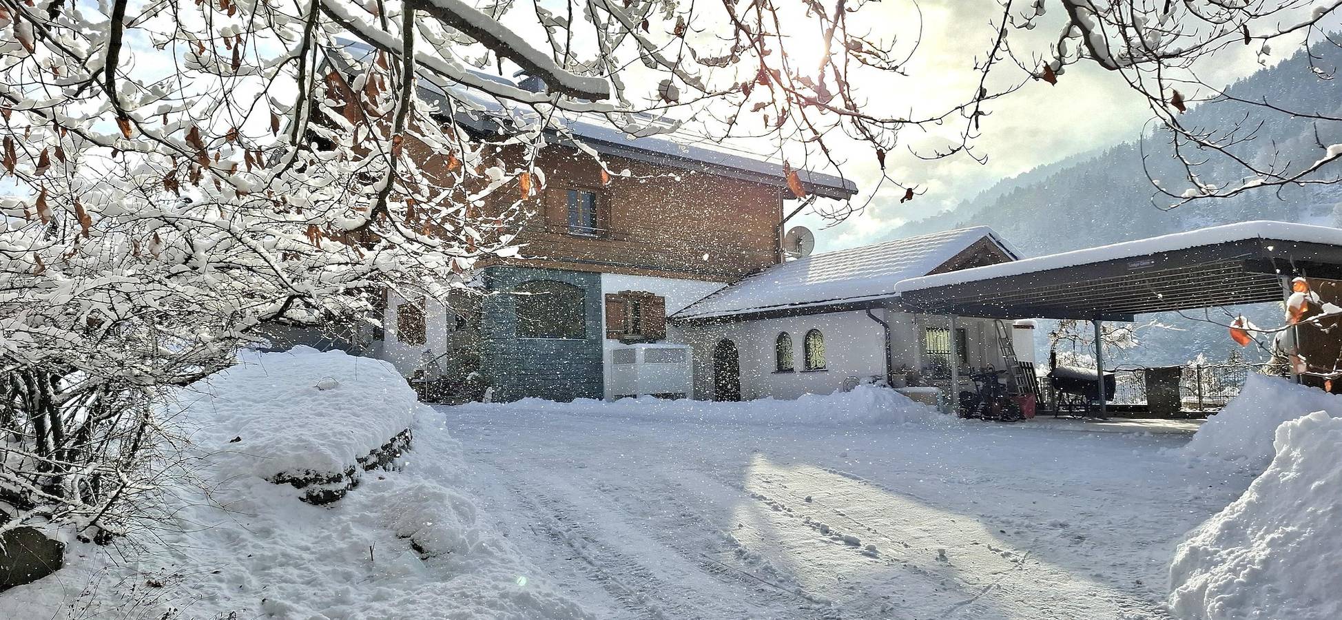 Ganze Ferienwohnung, Appartement/Fewo, Dusche, Wc, 1 Schlafraum in Schruns, Verwall