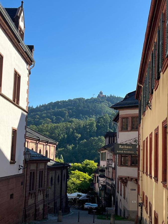Ferienwohnung für 3 Personen, mit Ausblick und Terrasse in Weinheim - 3