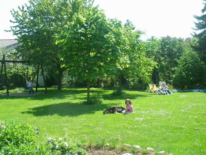 Bauernhof für 4 Personen, mit Garten in Rheinland-Pfalz - 3