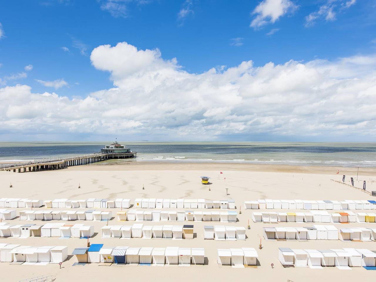 Ganze Wohnung, Schönes Appartement an der Strandpromenade in Blankenberge, Belgische Küste