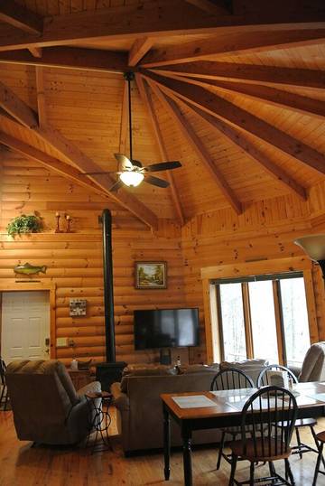 Vacation House for 8 Guests in Watauga Lake, Blue Ridge Mountains, Picture 4