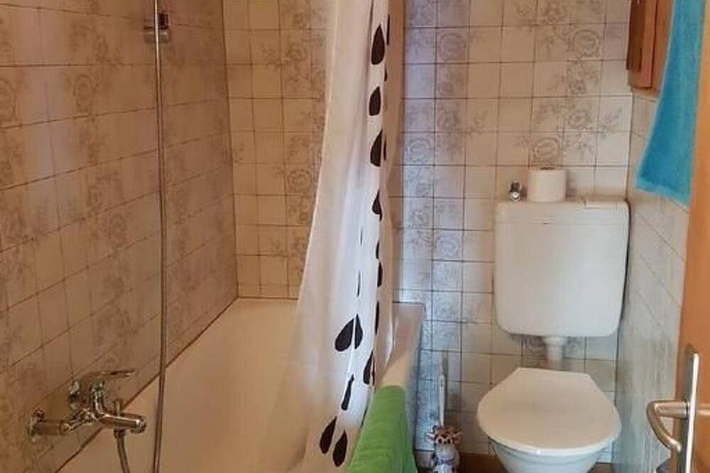 Ganze Wohnung, Wärschu in Albinen, Leukerbad & Umgebung