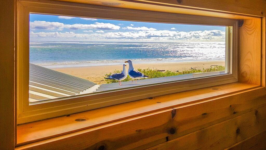 Haus am Meer mit eigenem Hof! in Netarts, Tillamook County