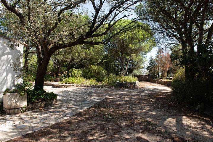Location de vacances pour 3 personnes, avec jardin ainsi que piscine et vue à Rio Maior - 2
