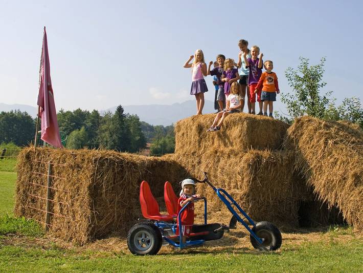Ferienhaus für 5 Personen, mit Garten in Grabenstätt - 2