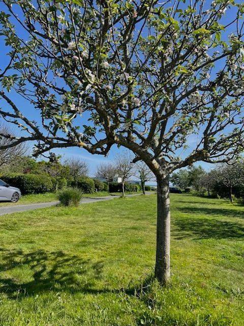 Location de vacances pour 4 personnes, avec jardin et piscine ainsi que sauna et vue, animaux acceptés à Treffiagat - 4