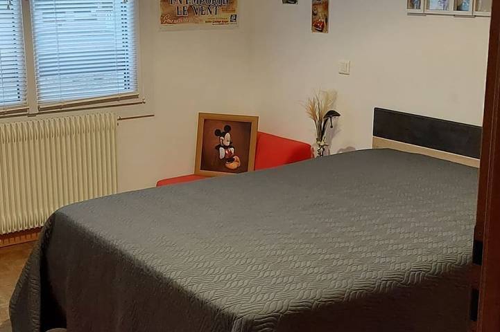 Location de vacances pour 6 personnes, avec jardin et terrasse à Castelginest - 3